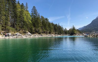 Scenic view of lake by trees against sky