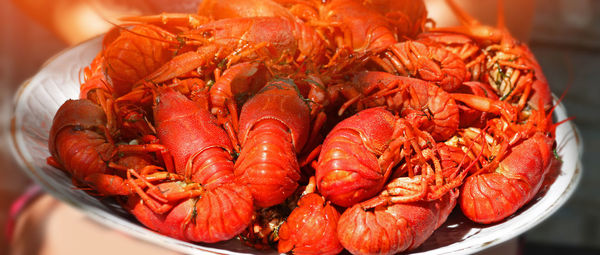 Big plate of tasty boiled crawfish closeup, seafood