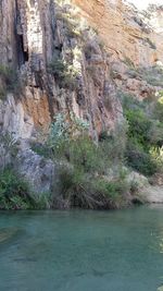 Scenic view of waterfall