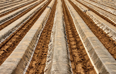 High angle view of agricultural field