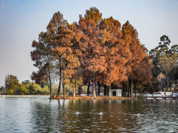 Trees by lake against sky during autumn