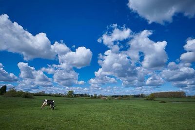 Scenic view of grassy field against cloudy sky