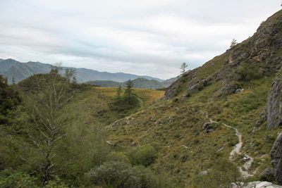 Scenic view of landscape against sky