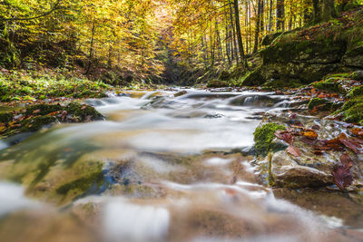 Stream flowing through rocks in forest