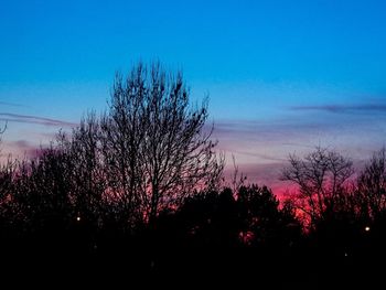 Low angle view of bare trees against sky at dusk