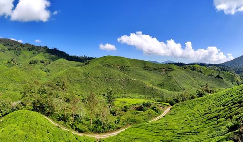 Scenic view of landscape against sky