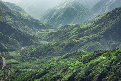 Misty mountain range covered with white mist