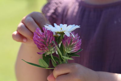 Close-up of hand holding purple flower