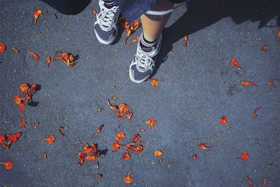 Low section of person standing on street during autumn