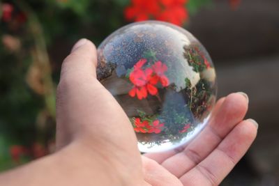 Close-up of person holding crystal ball against red flowers