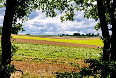 Scenic view of field against cloudy sky