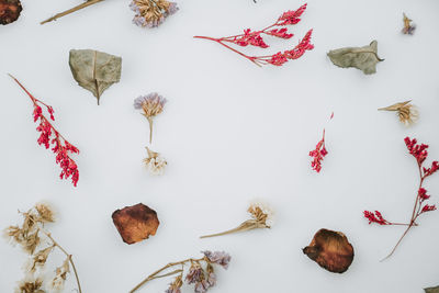 High angle view of dried flowers on table