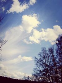 Low angle view of bare trees against blue sky