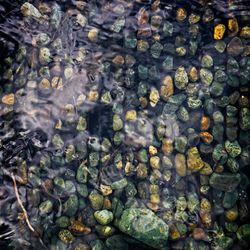 Full frame shot of pebbles in water