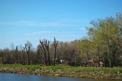 Scenic view of trees by lake against sky