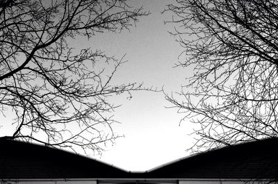 Low angle view of bare trees against sky