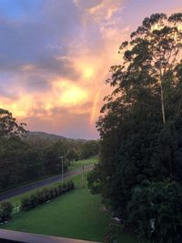 Trees on field against sky during sunset