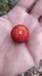 Close-up of hand holding strawberry