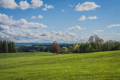Scenic view of landscape against sky