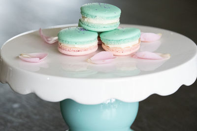 Teal and pink macarons with camellia petals around it. 