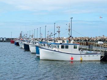 Sailboats moored in sea against sky