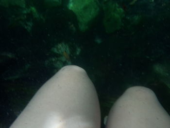 Low section of woman sitting in water