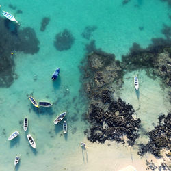 High angle view of scuba diving in sea