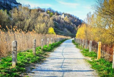 Footpath leading towards trees