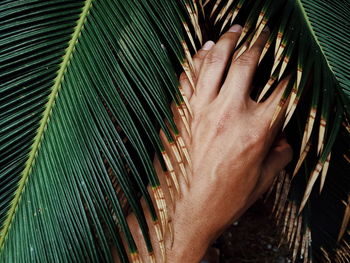 Close-up of hand of a man