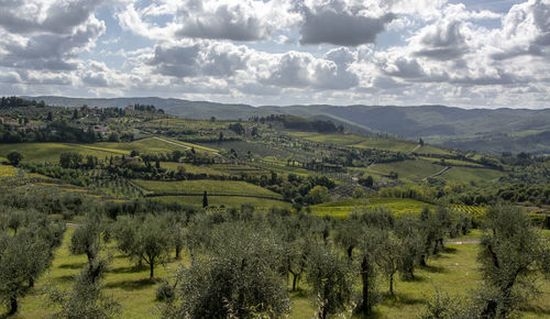 Scenic view of agricultural field against sky