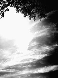 Low angle view of silhouette trees against sky