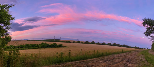 Scenic view of agricultural field against sky during sunset