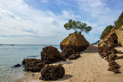 Rocks on beach against sky