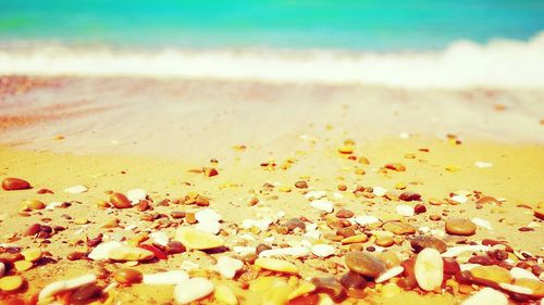 Close-up of pebbles on beach