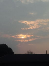 Silhouette of trees on landscape at sunset