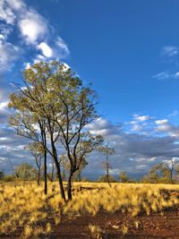 Conservation of outback australian species.