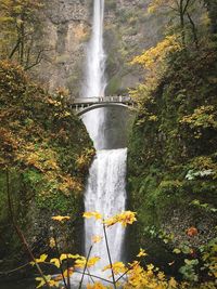 Scenic view of waterfall in forest during autumn