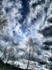 Low angle view of birds flying against cloudy sky