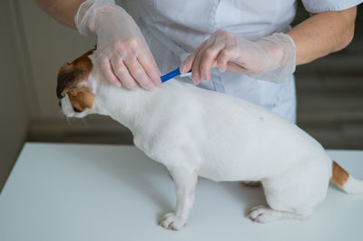 Midsection of doctor examining patient