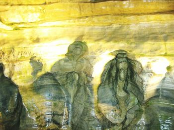 Reflection of trees in water