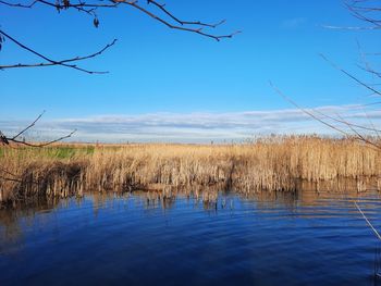 Scenic view of lake against sky