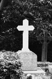 View of cross in cemetery