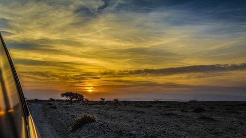 Scenic view of sunset