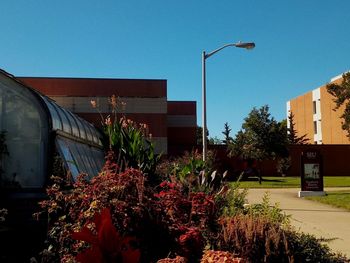 Street amidst plants and buildings against clear blue sky