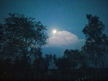 Low angle view of silhouette trees against sky at night