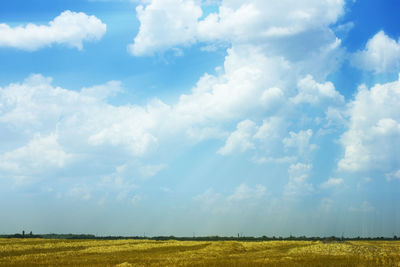 Scenic view of field against sky