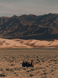 Man with horses on land at desert during sunny day