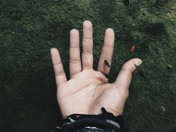 High angle view of people hand on plant