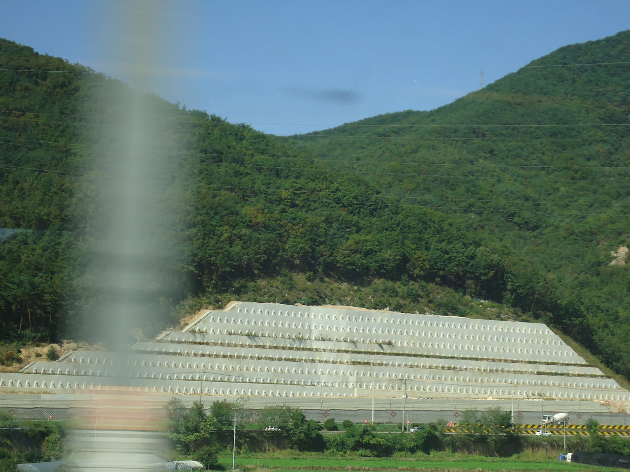 SCENIC VIEW OF TREE BY MOUNTAIN AGAINST SKY