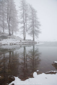 Scenic view of frozen lake during winter